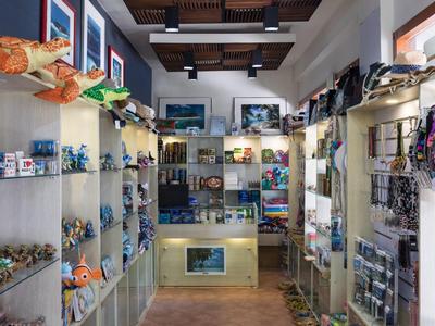 Intérieur d'une boutique de souvenirs avec des étagères remplies de souvenirs colorés et de vêtements