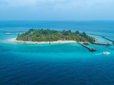 Petite île tropicale avec végétation verte, plage de sable et deux quais dans une eau bleue claire.