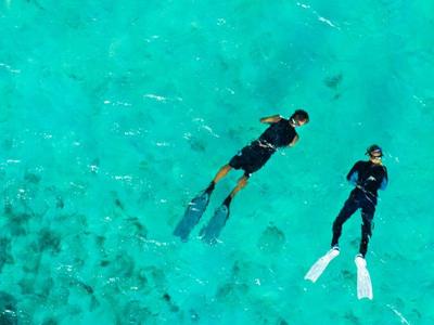 Deux personnes font de la plongée avec tuba dans une eau turquoise claire au-dessus d'un récif corallien.