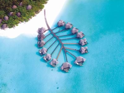 Vogelperspektive auf Insel mit Palmen und über Wasser gestellte, dachbedeckte Bungalows in kristallklarem, blauem Meer.
