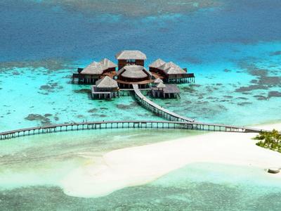 Klares blaues Wasser im rechteckigen Pool mit Holzdeck und grünem tropischem Hintergrund.