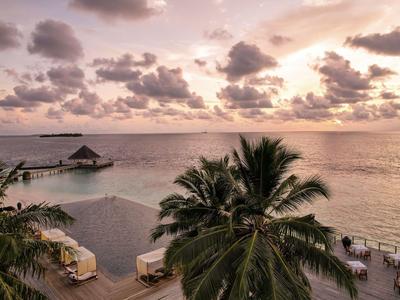 Atardecer sobre una piscina y el mar con palmeras y sillas de playa.