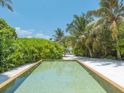 Ein Swimmingpool mit grünlichen Fliesen ist von Palmen und üppiger Vegetation umgeben.