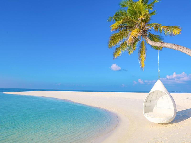 Strand mit weißem Sand, klarem blauem Wasser und einer Palme mit einer hängenden Sitzschaukel.