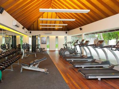 Lichte fitnessruimte met houten plafond, loopbanden, dumbbells en grote ramen met uitzicht op groen.