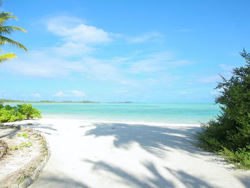Strand mit weißem Sand, türkisfarbenem Meer, blauem Himmel und grünen Palmen und Büschen.