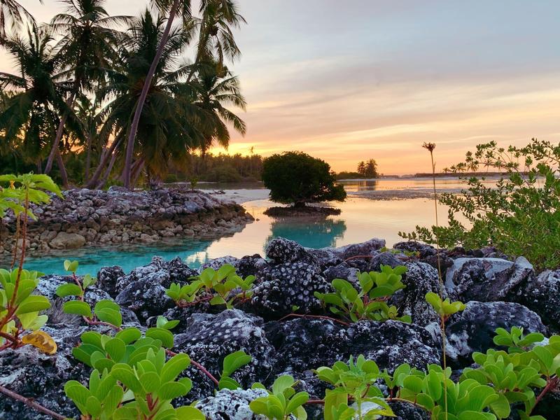 Tropische Küstenlandschaft mit Palmen, Felsen und grünem Pflanzenbewuchs bei Sonnenuntergang.