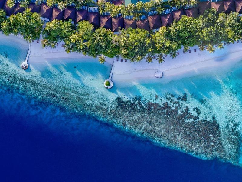 Luftaufnahme einer Küste mit klarem blauem Wasser, Korallenriff und grüner Vegetation am Strand.