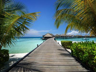 Un molo di legno attraversa palme verso un bungalow sul mare turchese sotto un cielo blu.