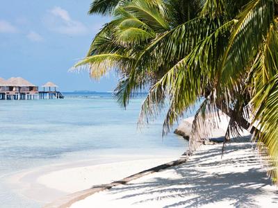 Weißer Sandstrand mit Palmen und Überwasserbungalows am blauen Meer.