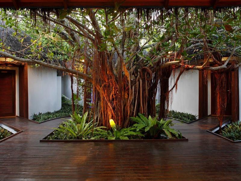 Innenhof mit großem Baum in der Mitte, umgeben von Eingängen und viel Grün in modernem Stil.