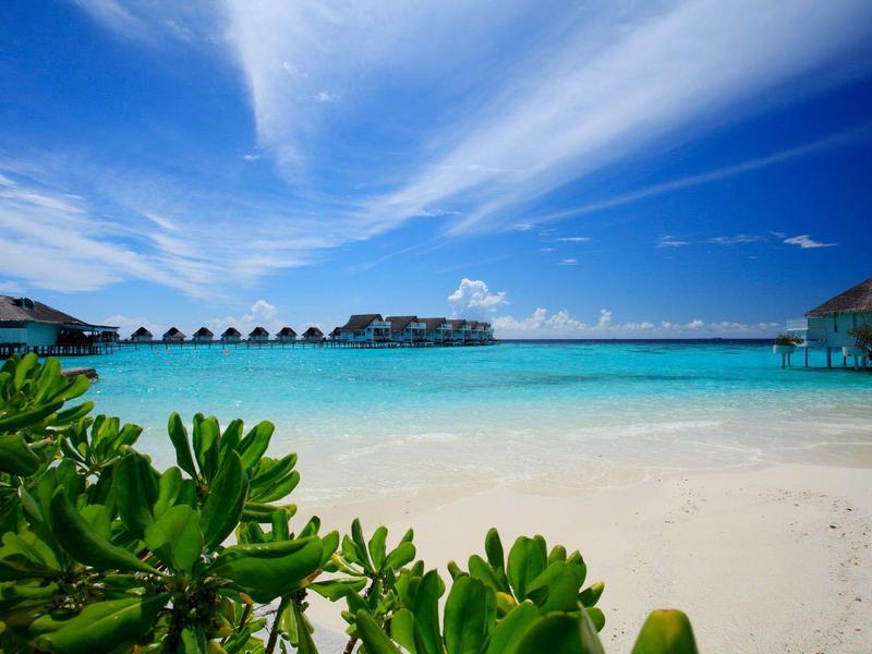 Blauer Himmel, türkises Meer, weiße Sandstrände, grüne Pflanzen und bunte Wasserbungalows am Horizont.