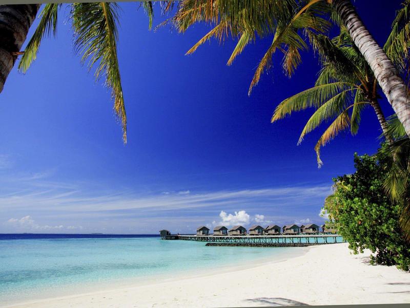 Strand mit weißem Sand, Palmen und Überwasserbungalows vor klarem blauem Himmel und Meer.