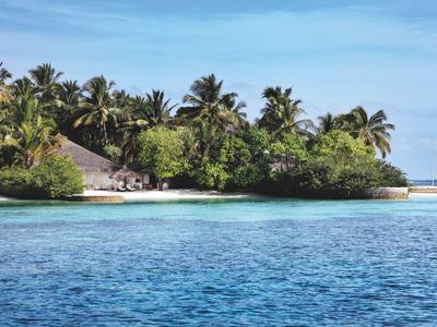 Kleine tropische Insel mit Palmen und Häusern, umgeben von klarem blauem Meerwasser.