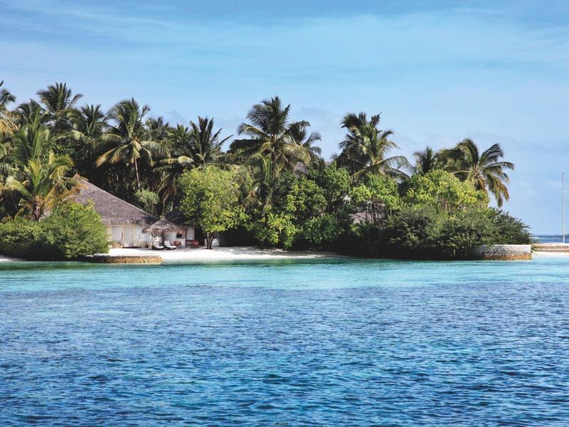 Kleine tropische Insel mit Palmen und Häusern, umgeben von klarem blauem Meerwasser.