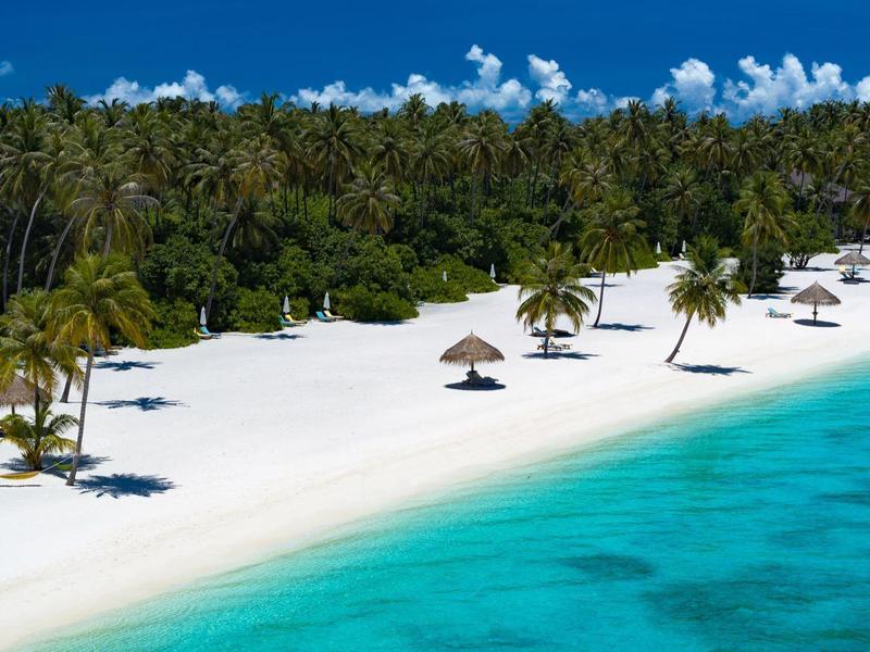 Strand mit weißem Sand, türkisfarbenem Wasser und vereinzelten Palmen vor dichtem Wald.