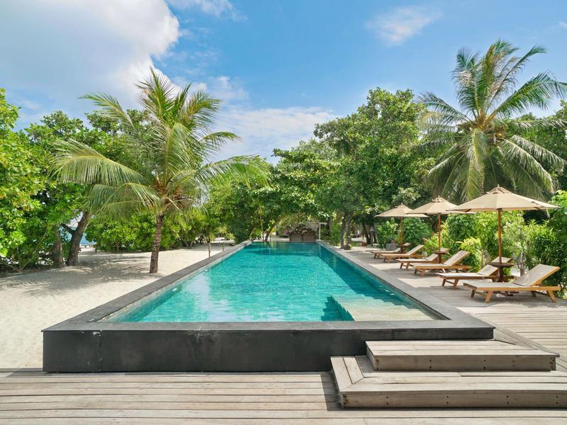 Schwimmbecken mit Liegestühlen und Palmen an einem sonnigen Strandhotel.