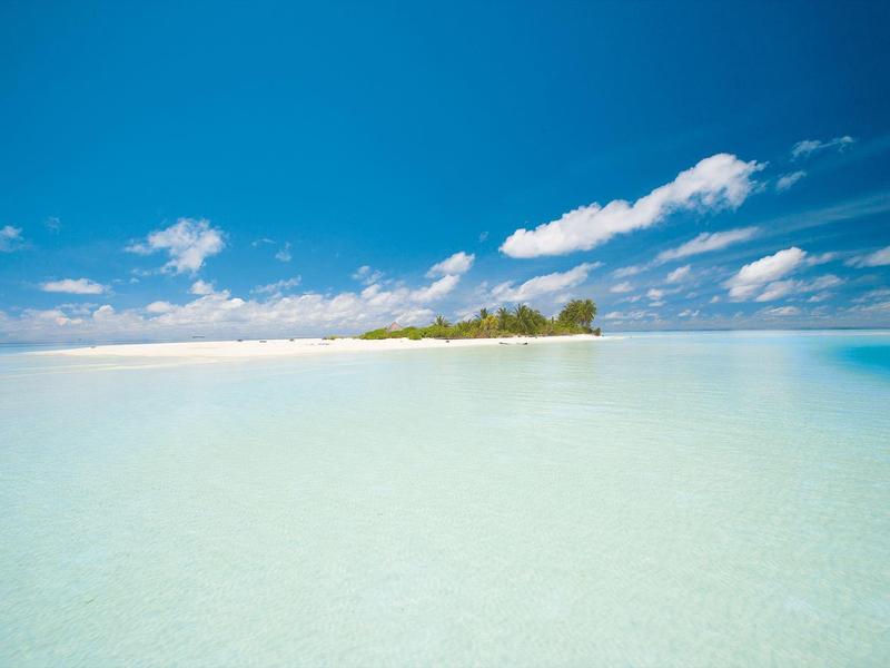 Offener Spa-Bereich mit Massagebett, Holzsäulen und Blick auf grünen Garten.
