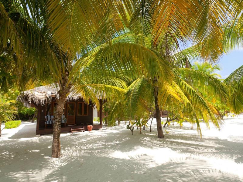 Kleines Holzhaus mit Palmendächern steht auf weißem Sand unter grünen Palmen.
