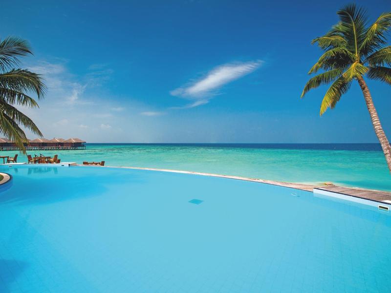 Blauer Infinity-Pool mit Palmen, türkisfarbenem Meer und klarem Himmel im Hintergrund.