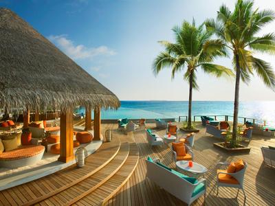 Odpočinkový plážový bar s balkónem na slunce, palmami a výhledem na oceán.