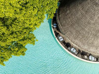 Okruhlá bazénová plocha s doškovou střechou a zelenými stromy vedle vody