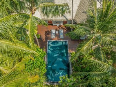 Blick von oben auf einen rechteckigen Pool umgeben von Palmen und Liegestühlen.