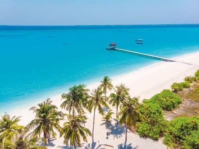 Plage de sable blanc de rêve avec des palmiers et une jetée dans une mer turquoise.