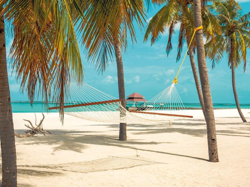 Hängematte zwischen Palmen am weißen Sandstrand mit klarem, blauem Himmel.