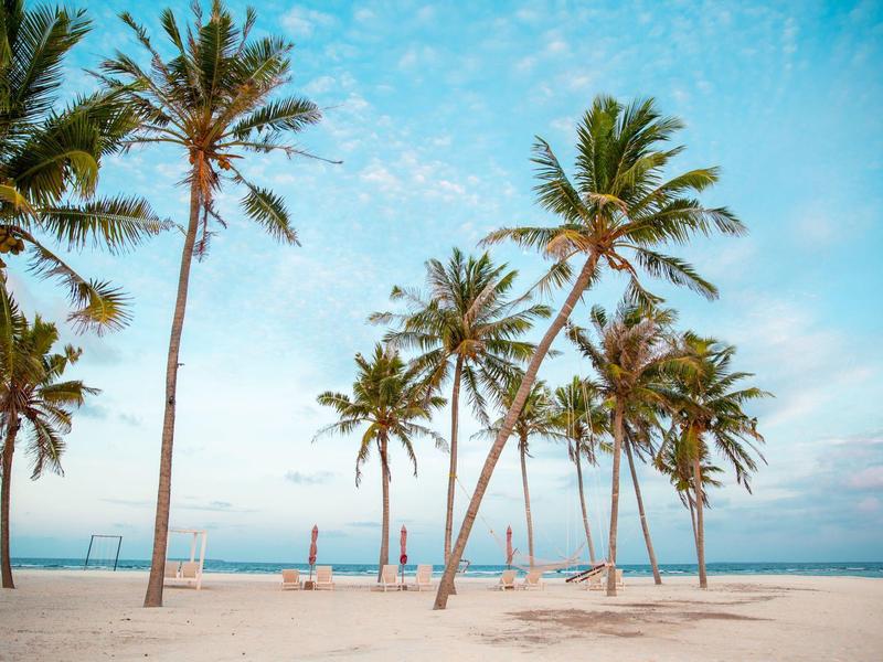 Palmen auf einem Sandstrand unter blauem Himmel am Meer