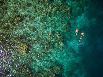 Dwie osoby nurkują z rurką w czystej turkusowej wodzie nad rafą koralową.