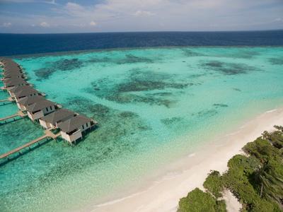 Bungalow su palafitte sopra acque turchesi limpide accanto a una spiaggia di sabbia bianca con palme.