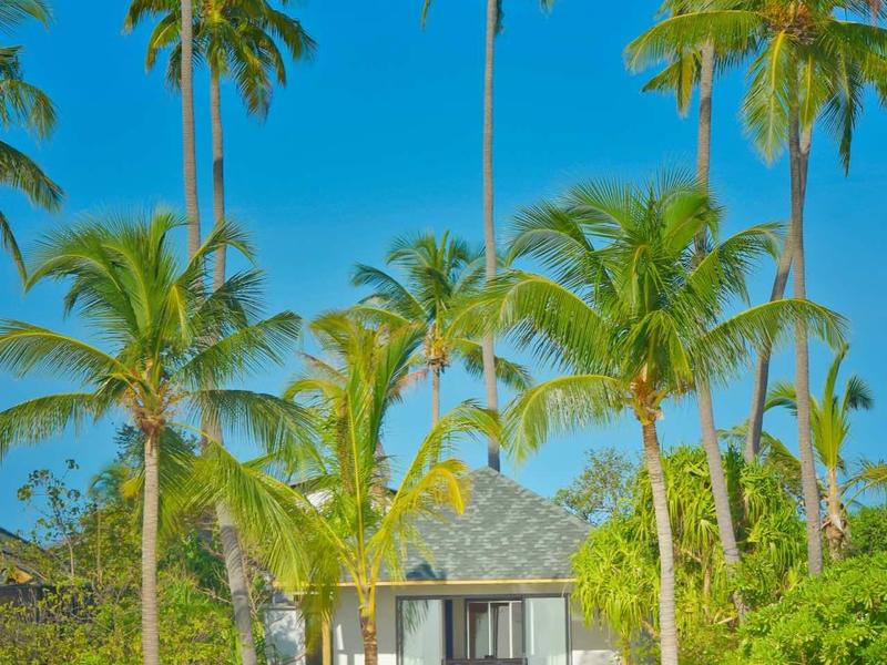 Un bungalow sulla spiaggia circondato da alte palme e cielo azzurro.