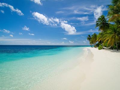 Weißer Sandstrand mit Palmen und klarem, türkisem Wasser unter blauem Himmel.
