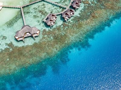 Luftaufnahme von Überwasserbungalows über klarem, blauem Wasser neben einem weißen Sandstrand