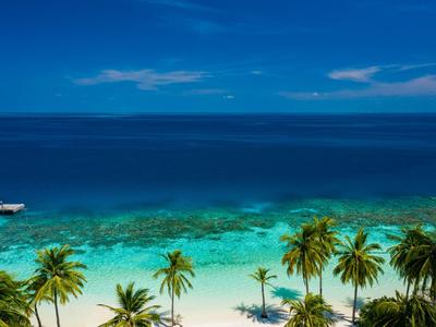Klares türkisfarbenes Meer mit weißem Sandstrand und Palmen unter blauem Himmel.