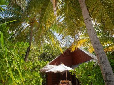 Sonnige Terrasse mit Sitzmöbeln und Regenschirm unter Palmen neben einer Holzhütte.