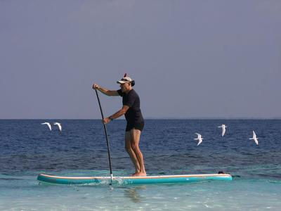 Person steht auf Paddleboard und paddelt auf ruhigem Meer mit fliegenden Vögeln im Hintergrund.