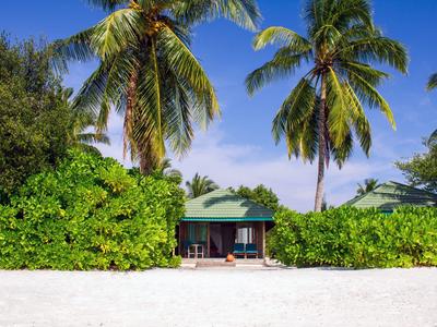 Bungalow am Strand mit Palmen und grünem Buschwerk bei klarem Himmel.