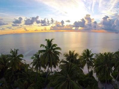Panorama eines tropischen Strandes bei Sonnenuntergang mit Palmen und ruhigem Meer.