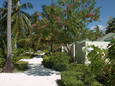 Pfad aus weißem Sand zwischen Palmen und grünen Büschen unter blauem Himmel bei sonnigem Wetter.