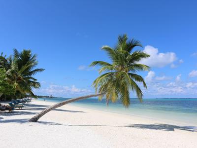 Strand mit weißem Sand, blauen Himmel, Palme, die leicht zum Meer geneigt ist.