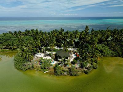 Kleine Insel mit vielen Palmen und Gebäuden, umgeben von grünlichem Wasser und blauem Himmel.