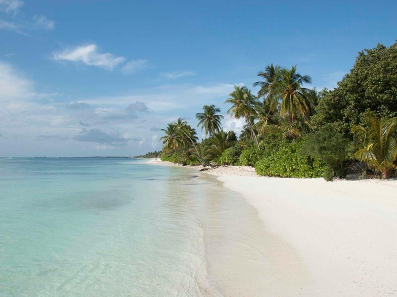 Weißer Sandstrand mit klarem, türkisfarbenem Wasser und grünen Palmen unter blauem Himmel.