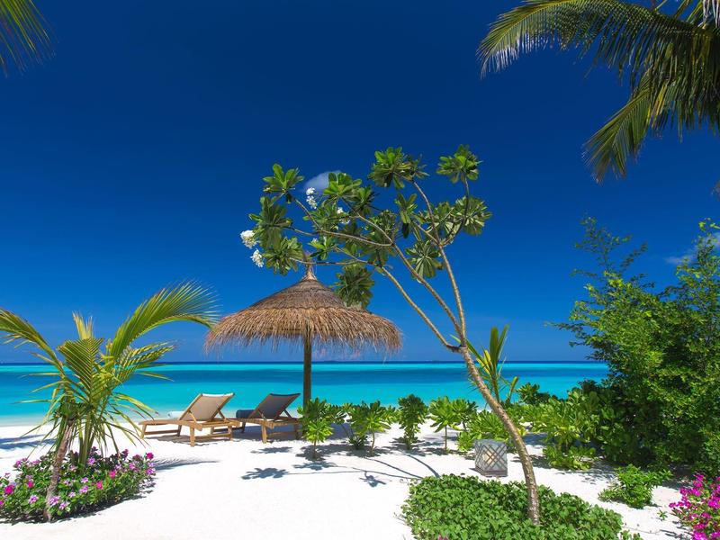 Tropikalna plaża z białym piaskiem, palmami, leżakami i czystym niebieskim niebem i morzem.