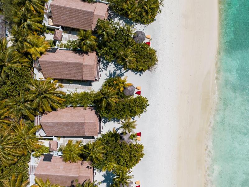 Widok z lotu ptaka na domki plażowe otoczone palmami obok piaszczystej plaży i czystego niebieskiego morza.