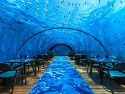 Ristorante sottomarino con tunnel di vetro e motivo di pesci blu sul pavimento