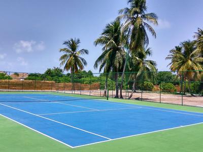 Leerer Tennisplatz mit blauem Belag und Palmen im Hintergrund unter blauem Himmel