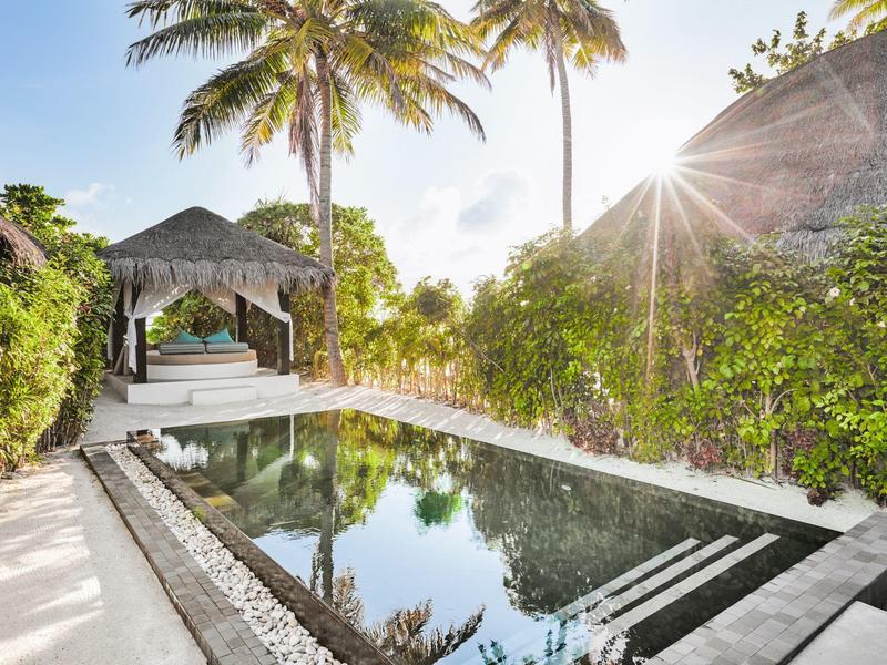 Una piscina tranquila con tumbonas, rodeada de palmeras y vegetación exuberante bajo el sol.
