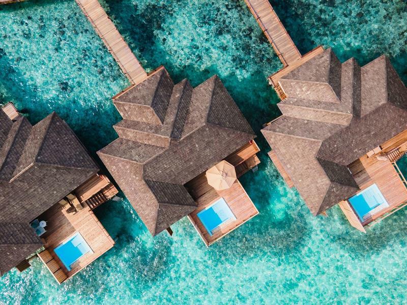 Villas sobre el agua con piscinas privadas y techos de paja, rodeadas de aguas turquesas.